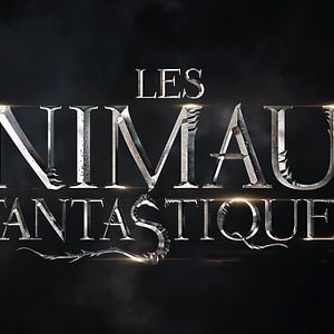 Photo Les Animaux fantastiques