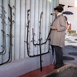 Photo Jacques Tati