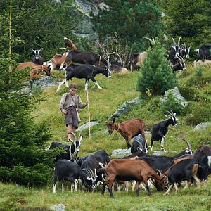 Photo Quirin Agrippi