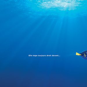 Photo Le Monde de Dory