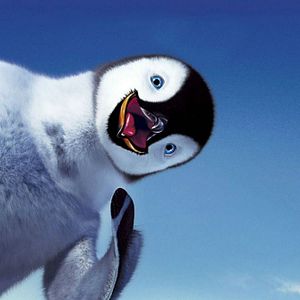Photo Happy Feet