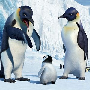 Photo Happy Feet