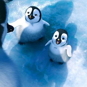 Photo Happy Feet