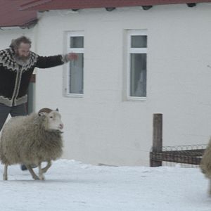 Photo Sigurður Sigurjónsson