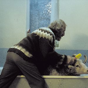 Photo Sigurður Sigurjónsson