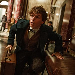 Photo Eddie Redmayne