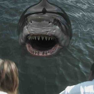 Photo Zombie Shark