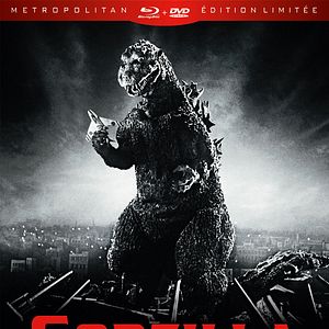 Photo Godzilla