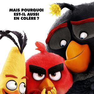 Photo Angry Birds - Le Film