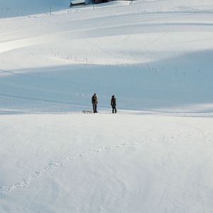 Photo Devid Striesow