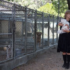 Photo Catherine Hicks