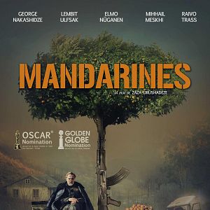 Photo Mandarines