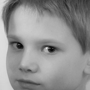 Photo Roman Villedieu