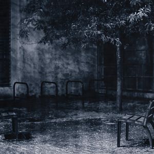 Photo La Moitié d'un frère