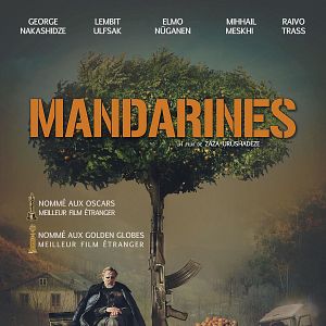 Photo Mandarines