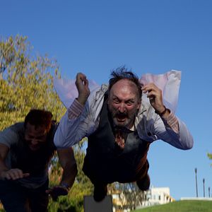 Photo Lavalantula