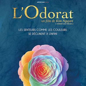 Photo L'Odorat