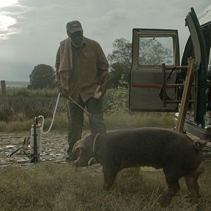 Photo Sr. Pig