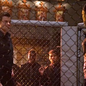 Photo Daniel Gillies