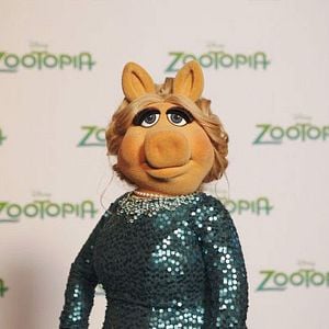 Photo The Muppets