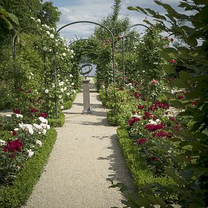 Photo Peindre le jardin moderne : de Monet à Matisse