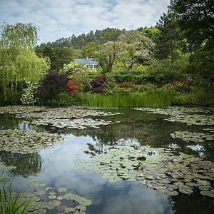 Photo Peindre le jardin moderne : de Monet à Matisse