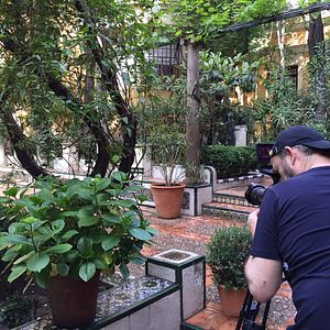 Photo Peindre le jardin moderne : de Monet à Matisse