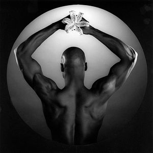 Photo Mapplethorpe : Look at the Pictures