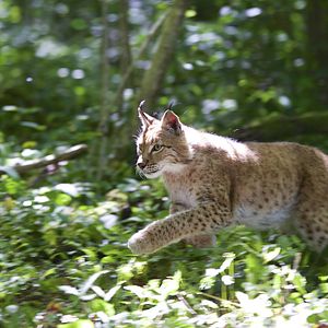 Photo Les Saisons