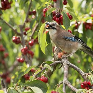 Photo Les Saisons