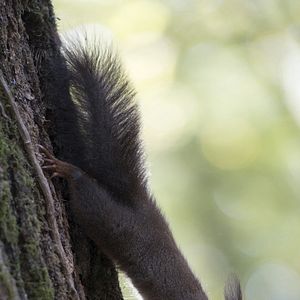 Photo Les Saisons