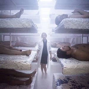 Photo Haley Bennett