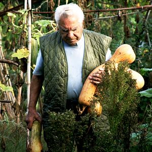 Photo Le Potager de mon grand-père