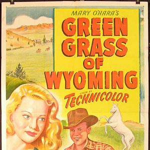Photo L'herbe verte du Wyoming