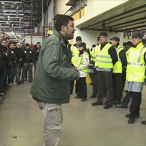 Photo Comme des lions