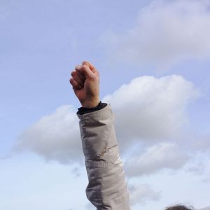 Photo Comme des lions