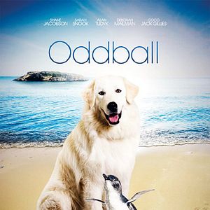 Photo Oddball