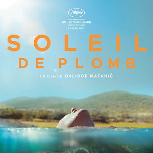 Photo Soleil de plomb