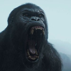 Photo Tarzan