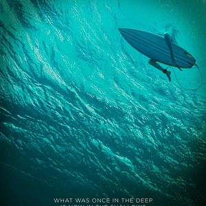 Photo Instinct de survie - The Shallows