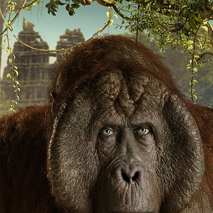 Photo Le Livre de la jungle
