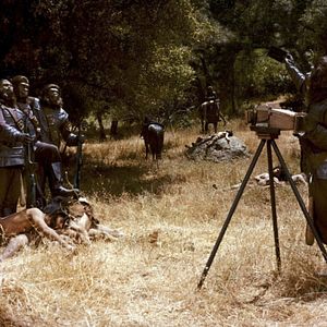 Photo La Planète des singes