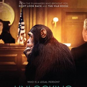 Photo Unlocking the Cage