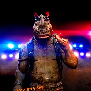 Photo Ninja Turtles 2