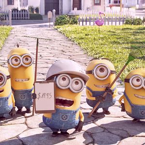 Photo Minions en herbe