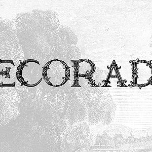 Photo Decorado (short)