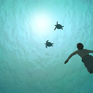 Photo La Tortue rouge