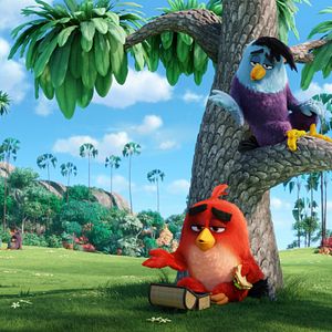 Photo Angry Birds - Le Film