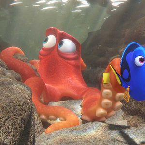 Photo Le Monde de Dory