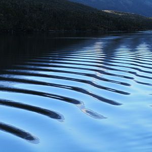 Le Bouton de nacre : Photo